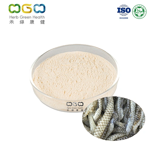 Collagen Tripeptide