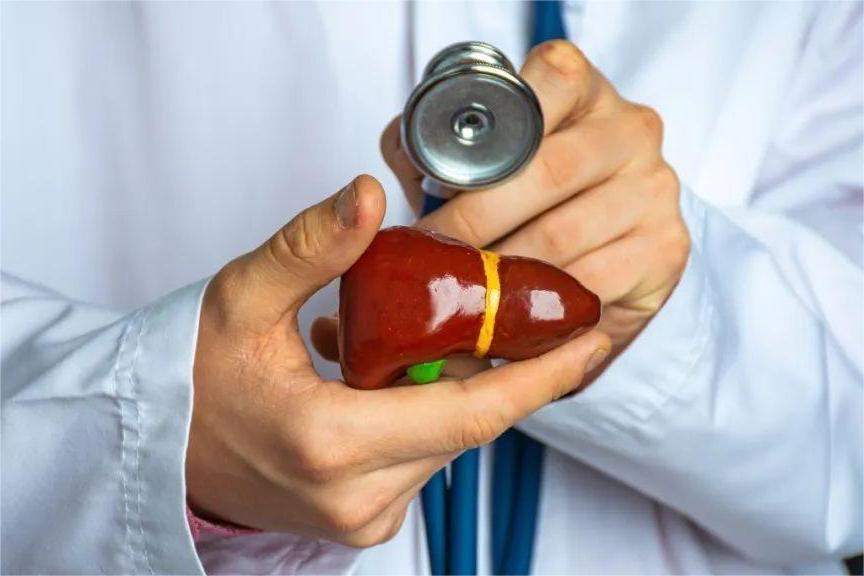 What is the benefit of Hovenia extract?