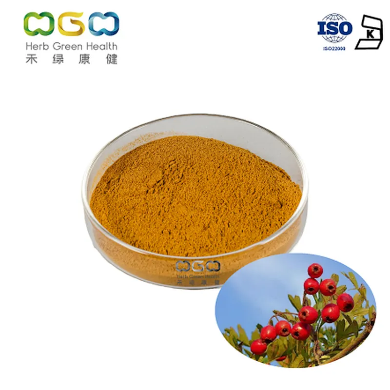 European Hawthorn Leaf Extract
