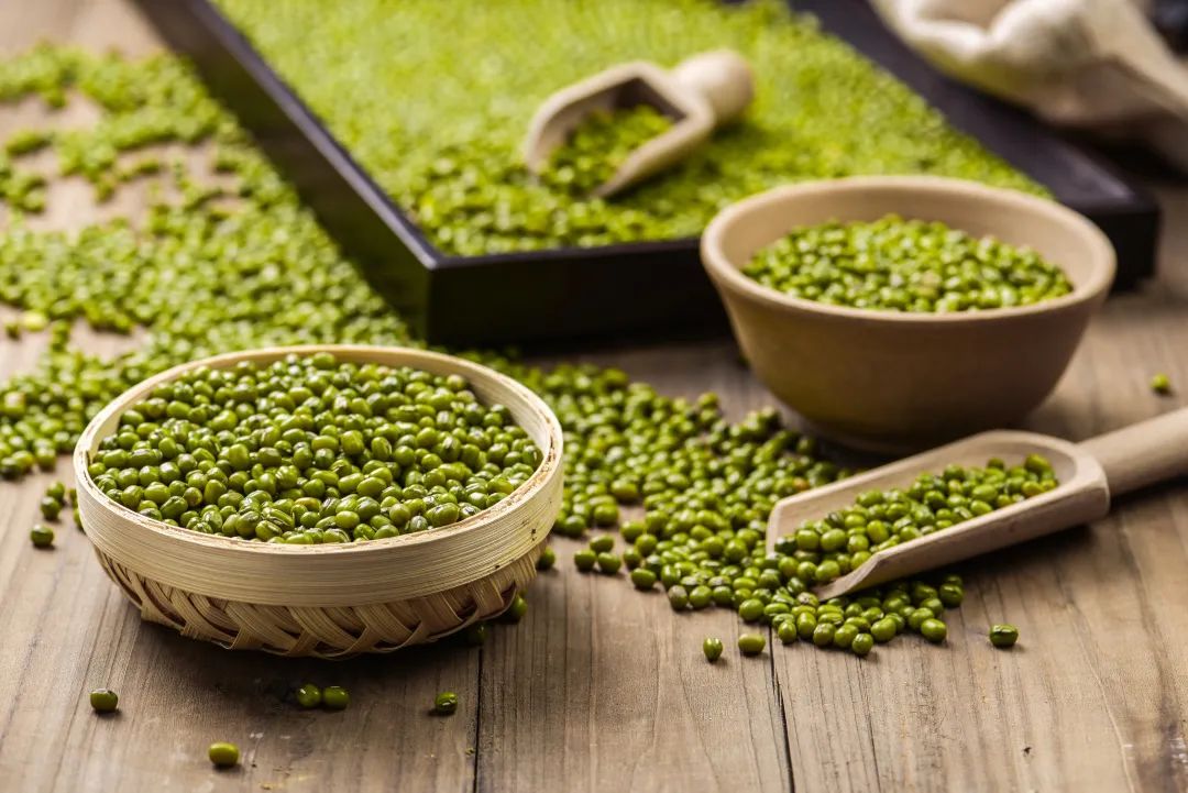 mung bean protein