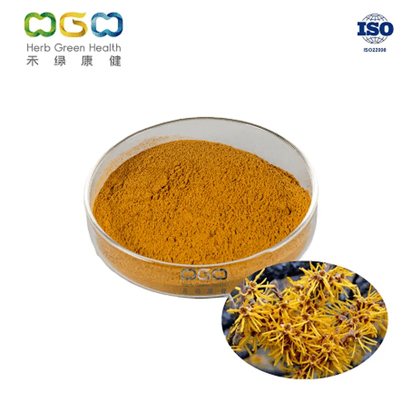 Witch Hazel Extract