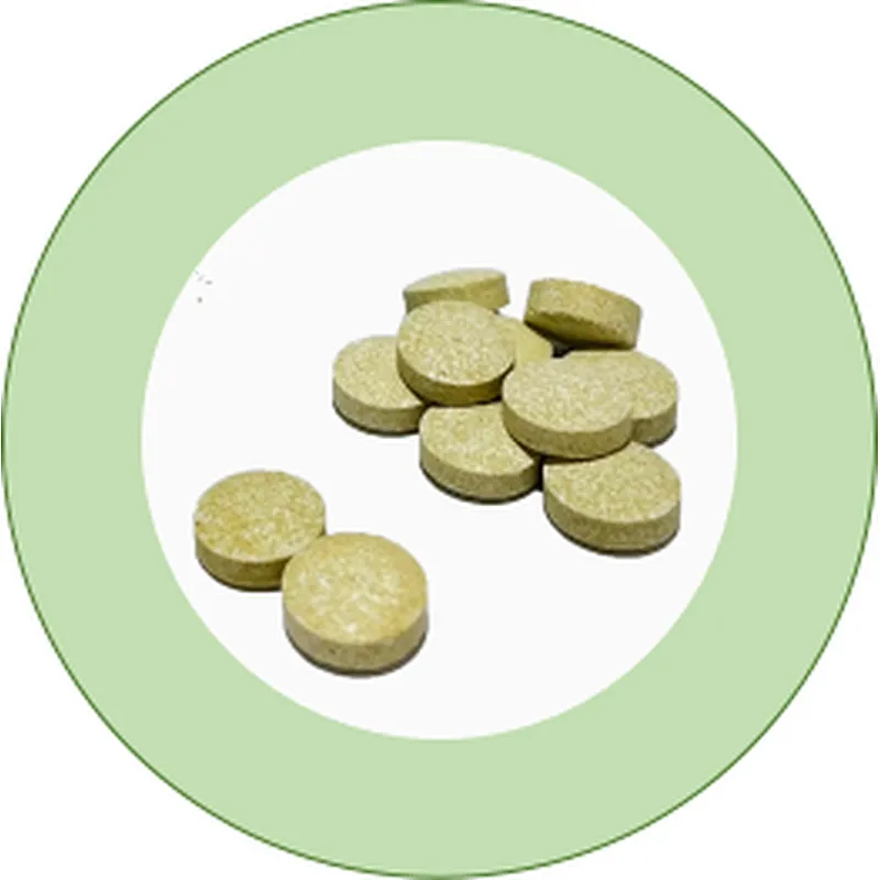 Protect Oral Hygiene & Fresh Breath Bubble Tablet