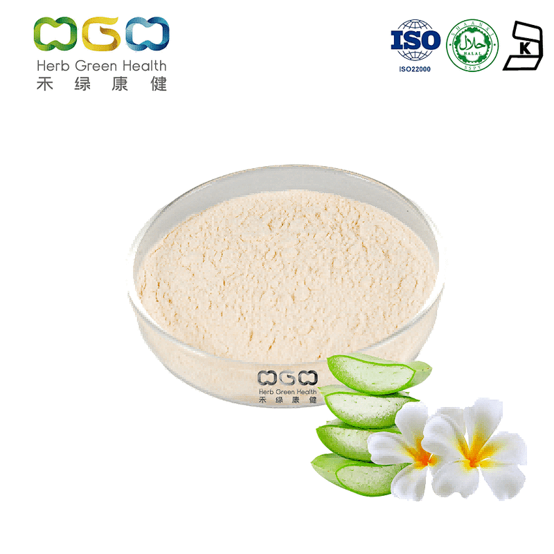 Curacao Aloe Powder