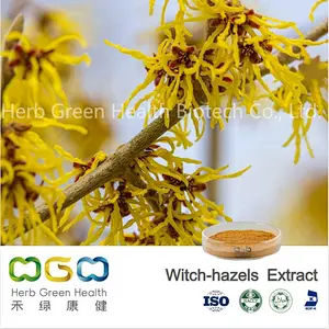 Witch Hazel Extract