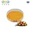 Longan Pulp Extract