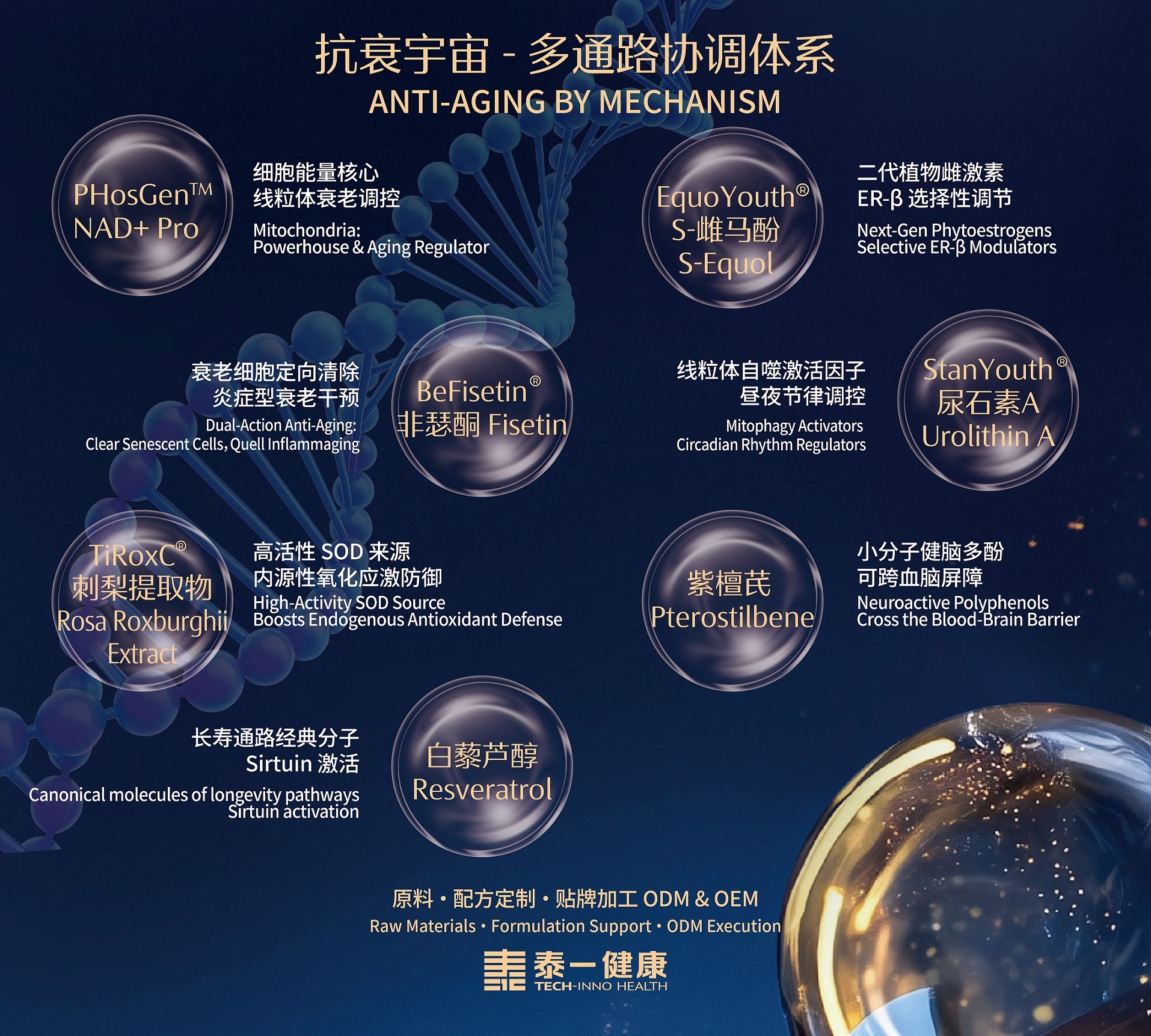 anti-aging by machanism