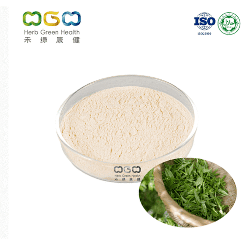 Green Tea Extract EGCG ( Epigallocatechin gallate ) 98%