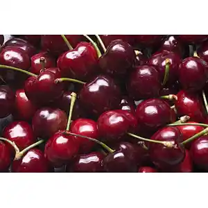 Dark Sweet Cherry SD Powder