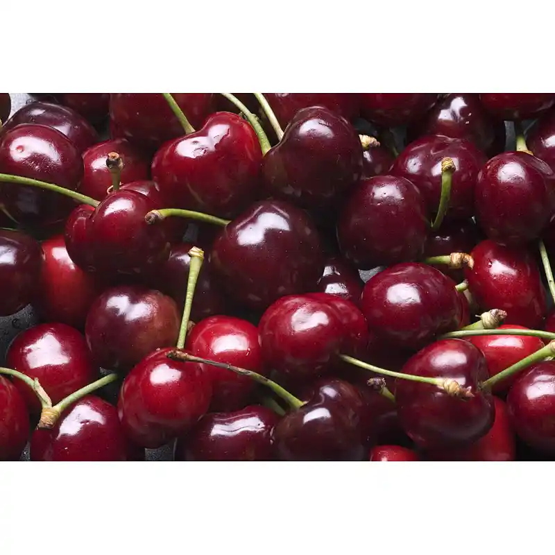 Dark Sweet Cherry SD Powder