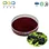 Elderberry