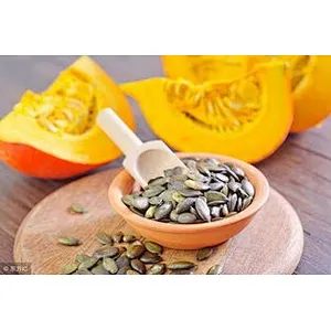 Pumpkin Seed Extract protein