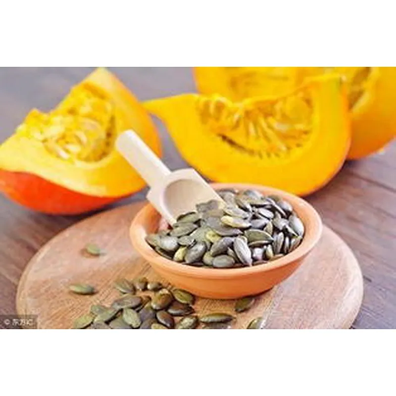 Pumpkin Seed Extract protein