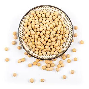 Soy Protein Isolate