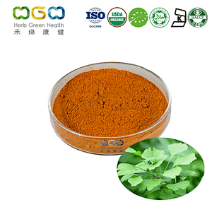 Ginkgo Biloba Extract USP40/EP9.0/CP2020