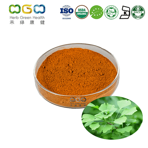 Ginkgo Biloba Extract USP40/EP9.0/CP2020