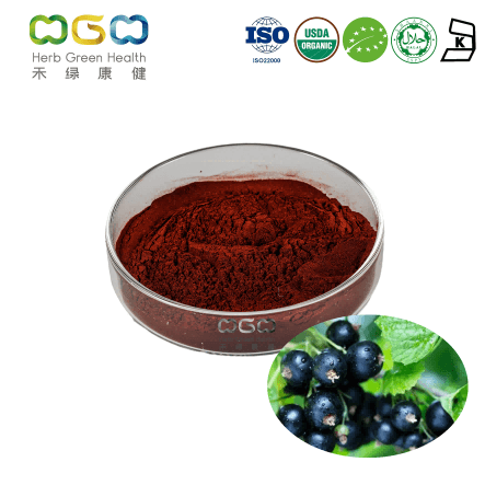 Black Currant Extract