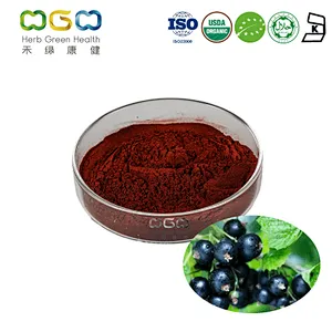 Organic Black Currant Extract