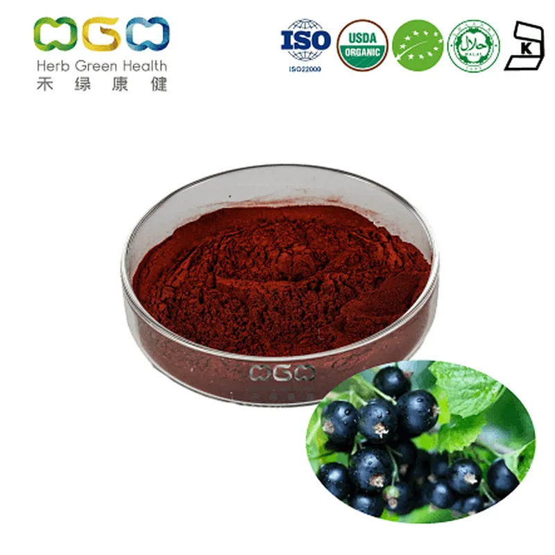 Black Currant Extract