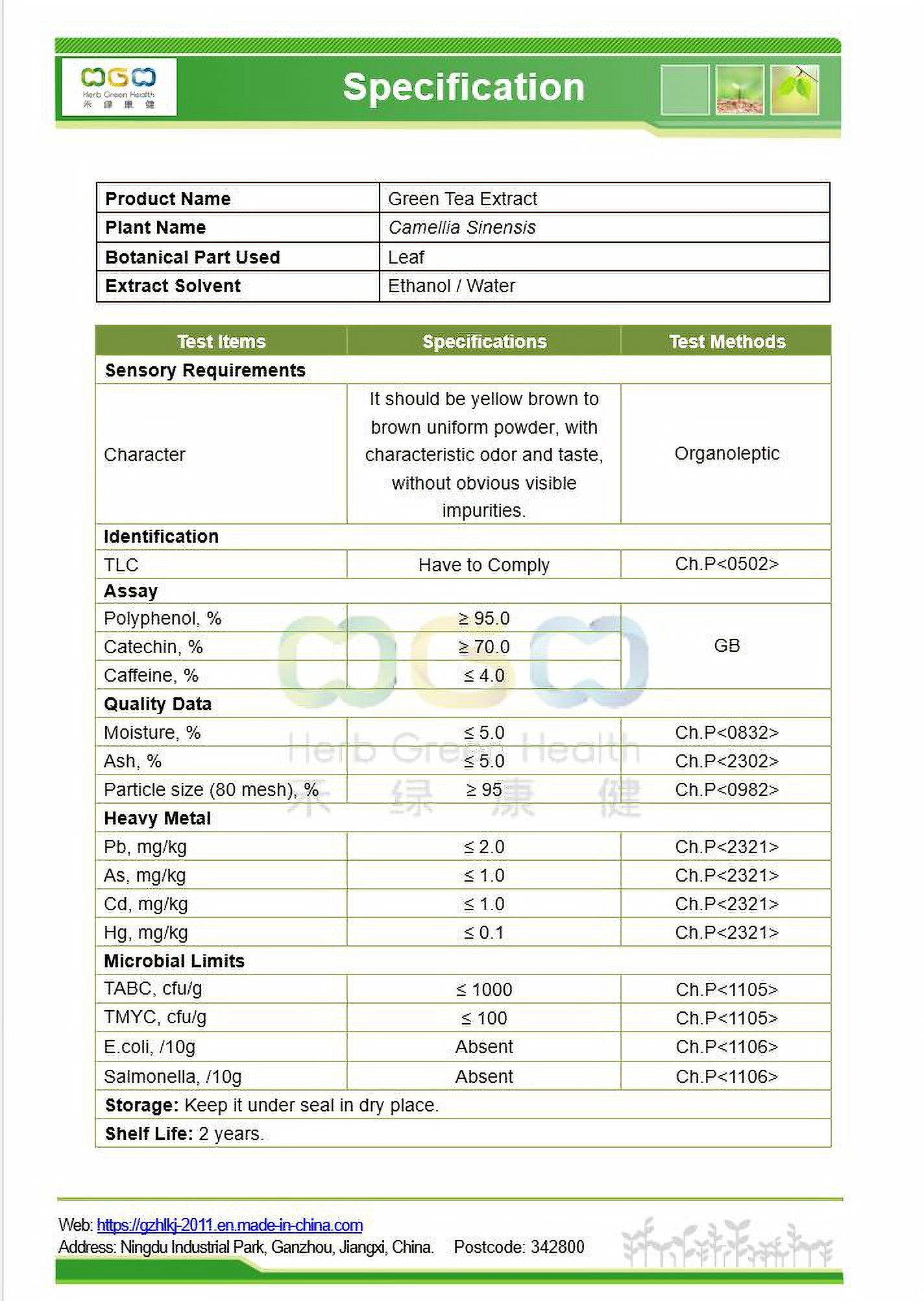 Green Tea Extract