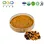 Organic Chaga Mushroom Extract