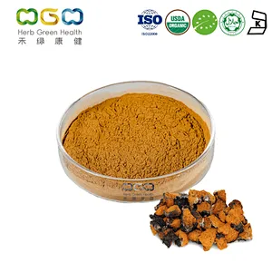 Organic Chaga Mushroom Extract