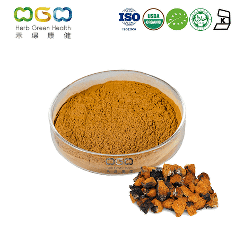 Chaga Mushroom Extract