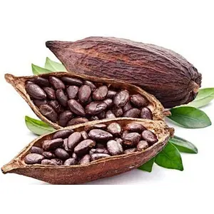 Cocoa Powder