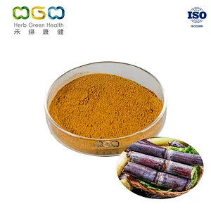 Sugarcane Polyphenols