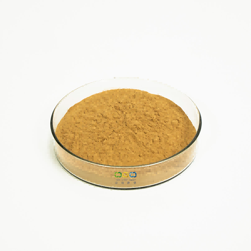 Bamboo Fungus Extract