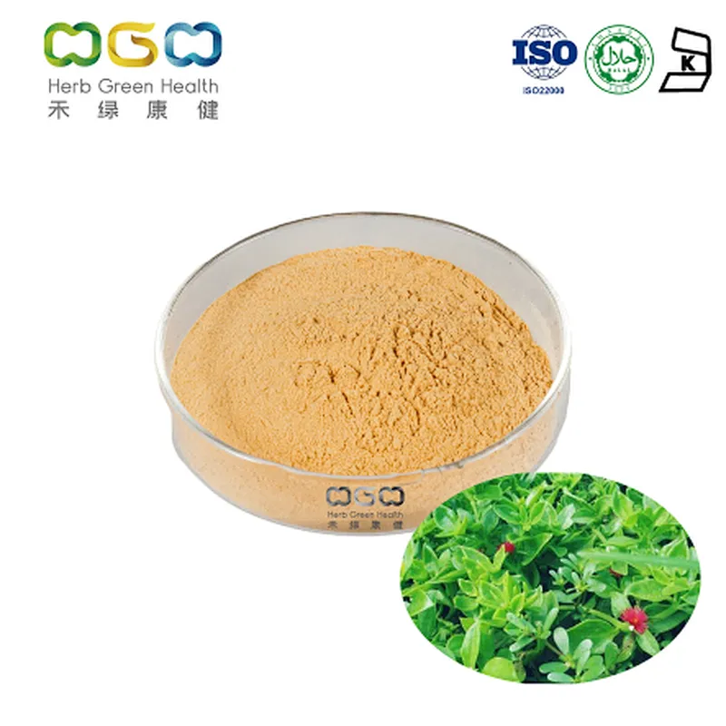 Andrographis Extract