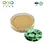 Lotus Leaf Extract