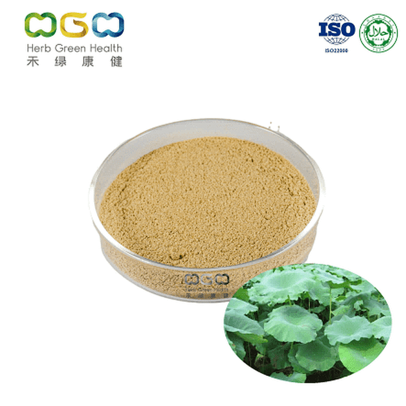 Lotus Leaf Extract