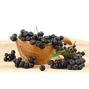 Aronia SD Powder