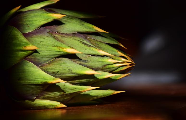 Artichoke Extract Cynarin