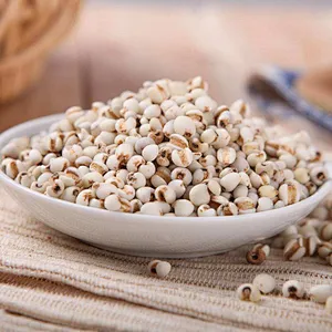 Coix Seed Extract/Job's Tear Extract