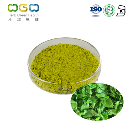 Mulberry Leaves