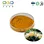 Honeysuckle Extract