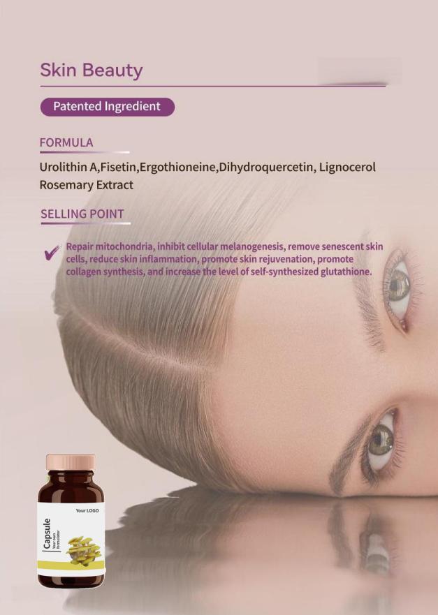 Dihydroberbreine & Fisetin Weight Control Capsule