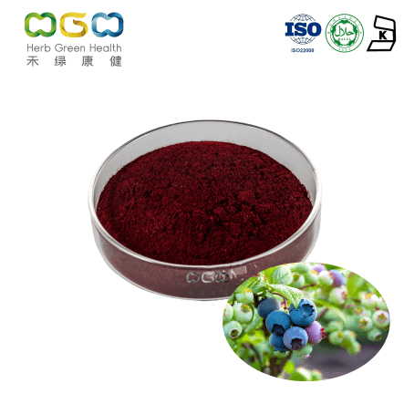 European Bilberry Extract