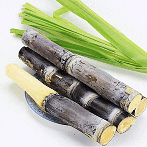 Sugarcane Polyphenols
