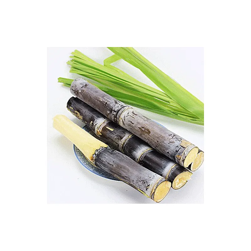 Sugarcane Polyphenols