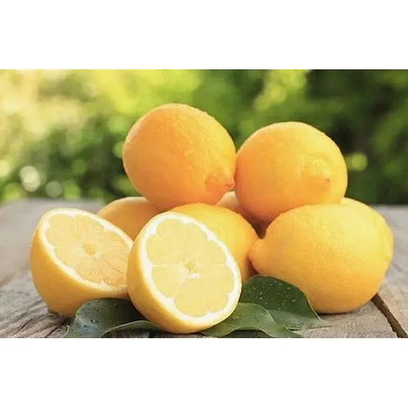 Lemon SD Powder