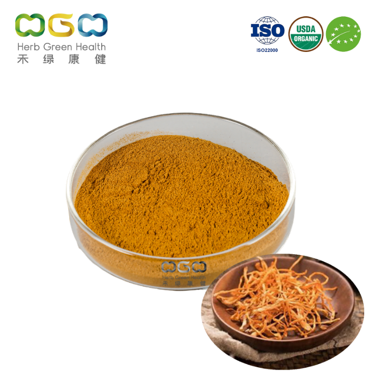 Organic Cordyceps Militaris Extract