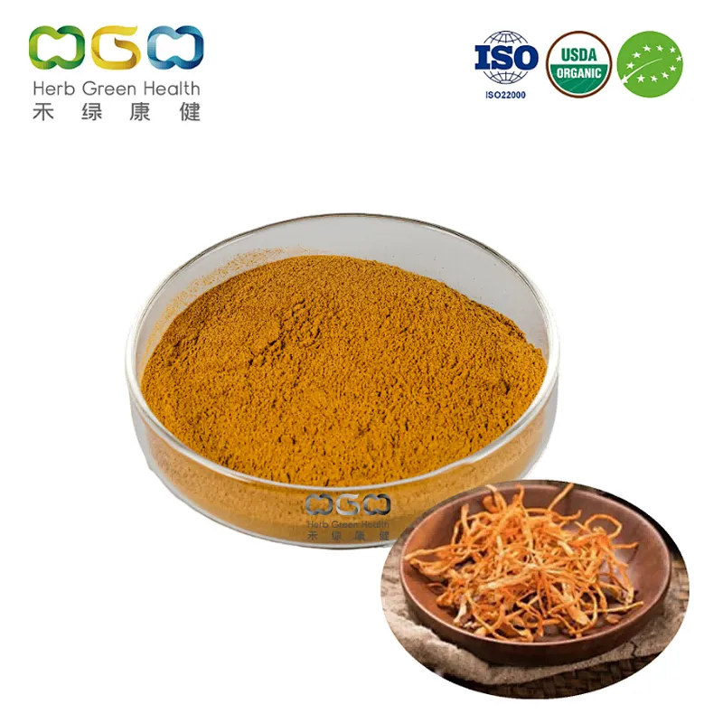 Organic Cordyceps Militaris Extract