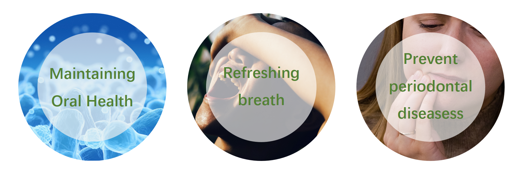 Protect Oral Hygiene & Fresh Breath Bubble Tablet