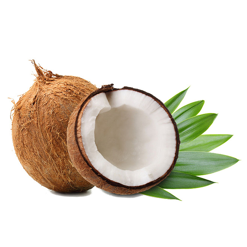 Coconut Milk SD Powder