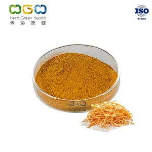 Cordyceps Militaris Powder