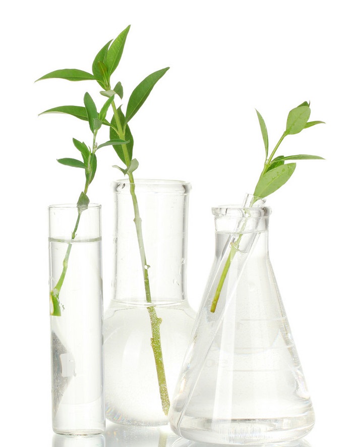 raw material service