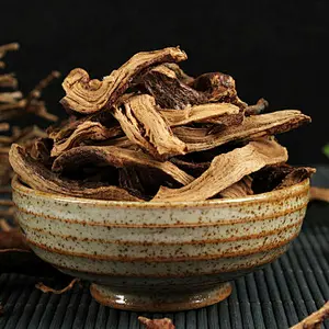 Squirrel's Foot Fern Root Extract