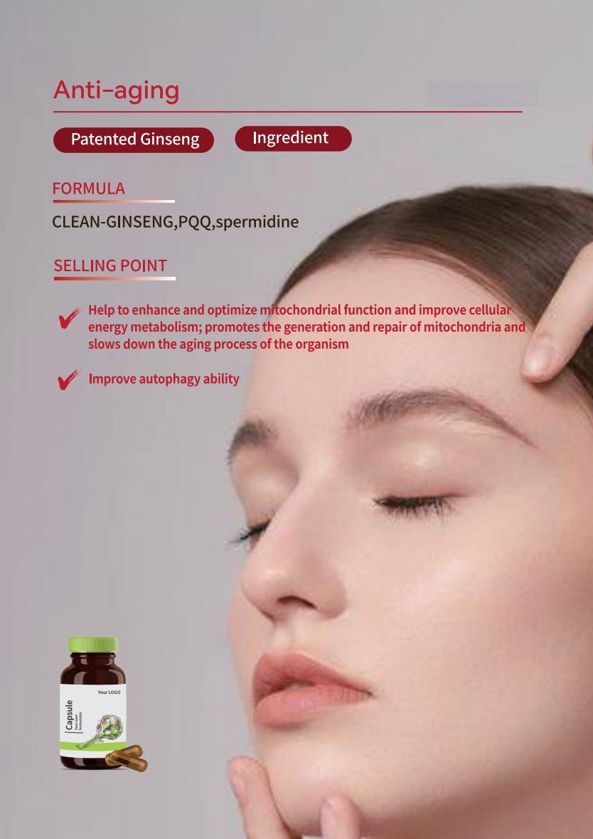 Ginseng & PQQ Antioxidant Capsule